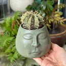 GobekUsa Abstract Face Ceramic Flowerpot Vase Ashtray Plant Home Decor Accessories