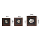 GobekUsa Conch Shell Decorative Painting Frame Pendant Wall Ornaments