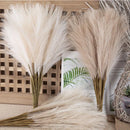 GobekUsa Fluffy Pampas Grass Boho Decor Pampas Grass.