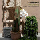GobekUsa Artificial Fern Vine for Home Decor and Photography Prop