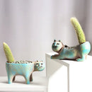 GobekUsa Cat Succulent Plant Pot - Cute Cartoon Animal Design for Home Decor