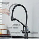 GobekUsa Dual Spout Kitchen Faucet with Water Purification and Flexible Rotation