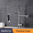 GobekUsa Gold Spring Spout Kitchen Faucet - Single Pull Out Mixer Tap