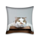 GobekUsa Cute Cat Anime Pillow Case – 45x45cm Cartoon Cushion Cover for Home and Office