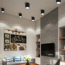 GobekUsa COB LED Pendant Ceiling Spot Light for Kitchen/Home/Office Indoor Lighting