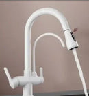 GobekUsa Antique Brass 2-in-1 Kitchen Faucet with Pull Out Nozzle and Purification