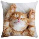 GobekUsa Bubble Black Cats Cat Pillow Cases Sofa Home Decor Custom Cushion Cover