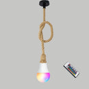 Handwoven Hemp Rope Vintage Pendant Light, E27
