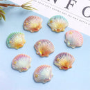 A fralia™ Colorful Pearl Shells Beach Decor Resin Cabochons Marine Style Embellishment