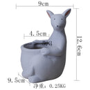 GobekUsa Kangaroo Cartoon Ceramic Flower Pot Vase for Cactus Succulents and Plants