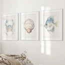 Watercolor Light Blue Nautical 3 Piece Art. Crab, Shell, Fish by Wall Art Set