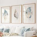 Trendy Nautical Wall Art Set of 3. Seashell and Fishes Posters by Wall Art Set