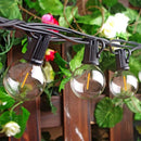 GobekUsa G40 LED String Lights for Outdoor Festive Decor and Garden Lighting