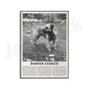 GobekUsa Black & White Dog Breeds Poster: Greyhound, Cocker Spaniel, Akita, Malamute, Cattle Dog