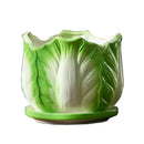 GobekUsa Cabbage Flowerpot with Tray | Creative Cartoon Vegetable Basin | Indoor Garden Flower Vase