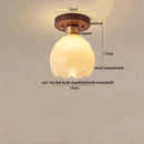 GobekUsa LED Modern Ceiling Light for Living Room Balcony, Nordic Style Indoor Lighting Fixtures