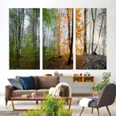 Seasonal Forest Canvas Wall Art Print - Changing Seasons in by MyGreatCanvas | Canvas Wall Art Prints | Photo Prints & Wall Decor