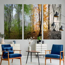 Seasonal Forest Canvas Wall Art Print - Changing Seasons in by MyGreatCanvas | Canvas Wall Art Prints | Photo Prints & Wall Decor