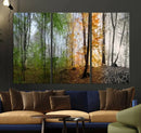 Seasonal Forest Canvas Wall Art Print - Changing Seasons in by MyGreatCanvas | Canvas Wall Art Prints | Photo Prints & Wall Decor