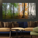 Seasonal Forest Canvas Wall Art Print - Changing Seasons in by MyGreatCanvas | Canvas Wall Art Prints | Photo Prints & Wall Decor