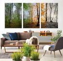 Seasonal Forest Canvas Wall Art Print - Changing Seasons in by MyGreatCanvas | Canvas Wall Art Prints | Photo Prints & Wall Decor