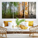Seasonal Forest Canvas Wall Art Print - Changing Seasons in by MyGreatCanvas | Canvas Wall Art Prints | Photo Prints & Wall Decor