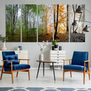 Seasonal Forest Canvas Wall Art Print - Changing Seasons in by MyGreatCanvas | Canvas Wall Art Prints | Photo Prints & Wall Decor