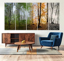 Seasonal Forest Canvas Wall Art Print - Changing Seasons in by MyGreatCanvas | Canvas Wall Art Prints | Photo Prints & Wall Decor