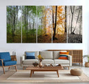Seasonal Forest Canvas Wall Art Print - Changing Seasons in by MyGreatCanvas | Canvas Wall Art Prints | Photo Prints & Wall Decor