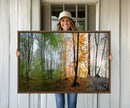Seasonal Forest Canvas Wall Art Print - Changing Seasons in by MyGreatCanvas | Canvas Wall Art Prints | Photo Prints & Wall Decor