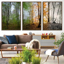 Seasonal Forest Canvas Wall Art Print - Changing Seasons in by MyGreatCanvas | Canvas Wall Art Prints | Photo Prints & Wall Decor