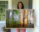 Seasonal Forest Canvas Wall Art Print - Changing Seasons in by MyGreatCanvas | Canvas Wall Art Prints | Photo Prints & Wall Decor