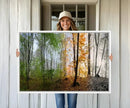 Seasonal Forest Canvas Wall Art Print - Changing Seasons in by MyGreatCanvas | Canvas Wall Art Prints | Photo Prints & Wall Decor