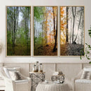 Seasonal Forest Canvas Wall Art Print - Changing Seasons in by MyGreatCanvas | Canvas Wall Art Prints | Photo Prints & Wall Decor