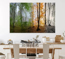Seasonal Forest Canvas Wall Art Print - Changing Seasons in by MyGreatCanvas | Canvas Wall Art Prints | Photo Prints & Wall Decor