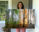 Seasonal Forest Canvas Wall Art Print - Changing Seasons in by MyGreatCanvas | Canvas Wall Art Prints | Photo Prints & Wall Decor