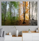 Seasonal Forest Canvas Wall Art Print - Changing Seasons in by MyGreatCanvas | Canvas Wall Art Prints | Photo Prints & Wall Decor