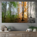 Seasonal Forest Canvas Wall Art Print - Changing Seasons in by MyGreatCanvas | Canvas Wall Art Prints | Photo Prints & Wall Decor