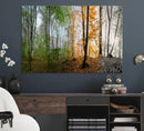 Seasonal Forest Canvas Wall Art Print - Changing Seasons in by MyGreatCanvas | Canvas Wall Art Prints | Photo Prints & Wall Decor