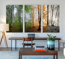 Seasonal Forest Canvas Wall Art Print - Changing Seasons in by MyGreatCanvas | Canvas Wall Art Prints | Photo Prints & Wall Decor