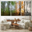 Seasonal Forest Canvas Wall Art Print - Changing Seasons in by MyGreatCanvas | Canvas Wall Art Prints | Photo Prints & Wall Decor