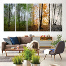 Seasonal Forest Canvas Wall Art Print - Changing Seasons in by MyGreatCanvas | Canvas Wall Art Prints | Photo Prints & Wall Decor