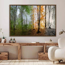 Seasonal Forest Canvas Wall Art Print - Changing Seasons in by MyGreatCanvas | Canvas Wall Art Prints | Photo Prints & Wall Decor