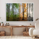 Seasonal Forest Canvas Wall Art Print - Changing Seasons in by MyGreatCanvas | Canvas Wall Art Prints | Photo Prints & Wall Decor