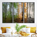 Seasonal Forest Canvas Wall Art Print - Changing Seasons in by MyGreatCanvas | Canvas Wall Art Prints | Photo Prints & Wall Decor