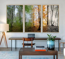 Seasonal Forest Canvas Wall Art Print - Changing Seasons in by MyGreatCanvas | Canvas Wall Art Prints | Photo Prints & Wall Decor