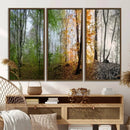 Seasonal Forest Canvas Wall Art Print - Changing Seasons in by MyGreatCanvas | Canvas Wall Art Prints | Photo Prints & Wall Decor