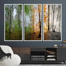 Seasonal Forest Canvas Wall Art Print - Changing Seasons in by MyGreatCanvas | Canvas Wall Art Prints | Photo Prints & Wall Decor