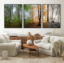 Seasonal Forest Canvas Wall Art Print - Changing Seasons in by MyGreatCanvas | Canvas Wall Art Prints | Photo Prints & Wall Decor