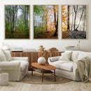 Seasonal Forest Canvas Wall Art Print - Changing Seasons in by MyGreatCanvas | Canvas Wall Art Prints | Photo Prints & Wall Decor
